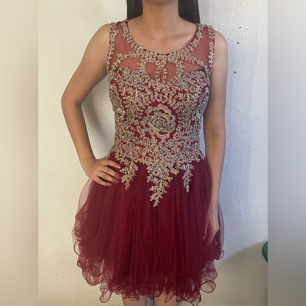 Burgundy xv surprise dance dress